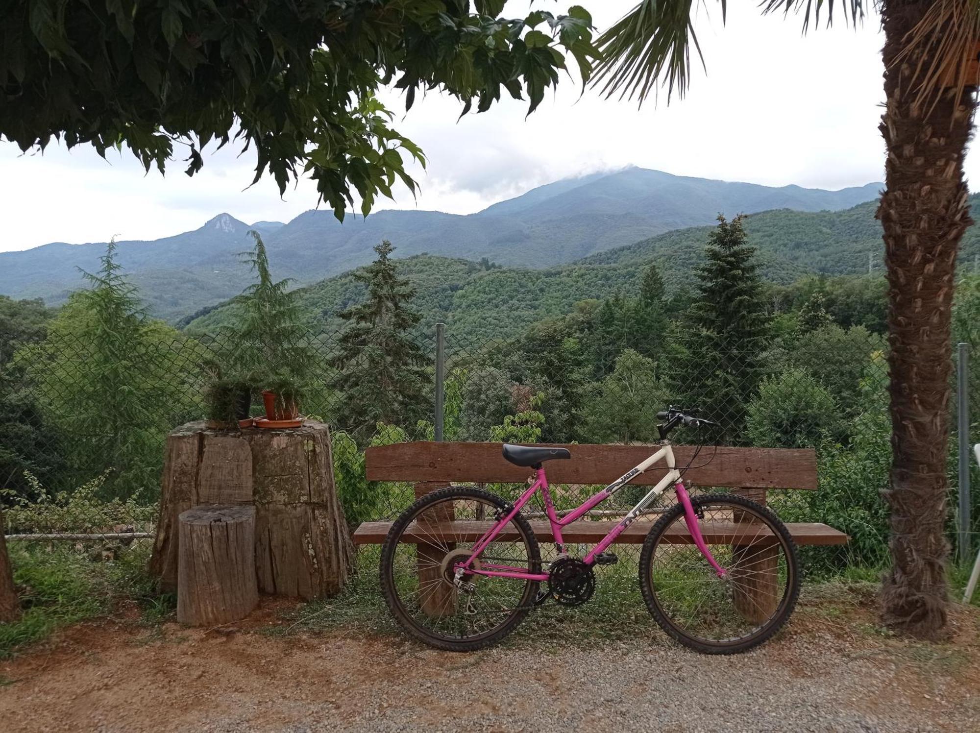 Apartamento En Pleno Montseny Mas Romeu Turisme Rural Арбусьєс Екстер'єр фото